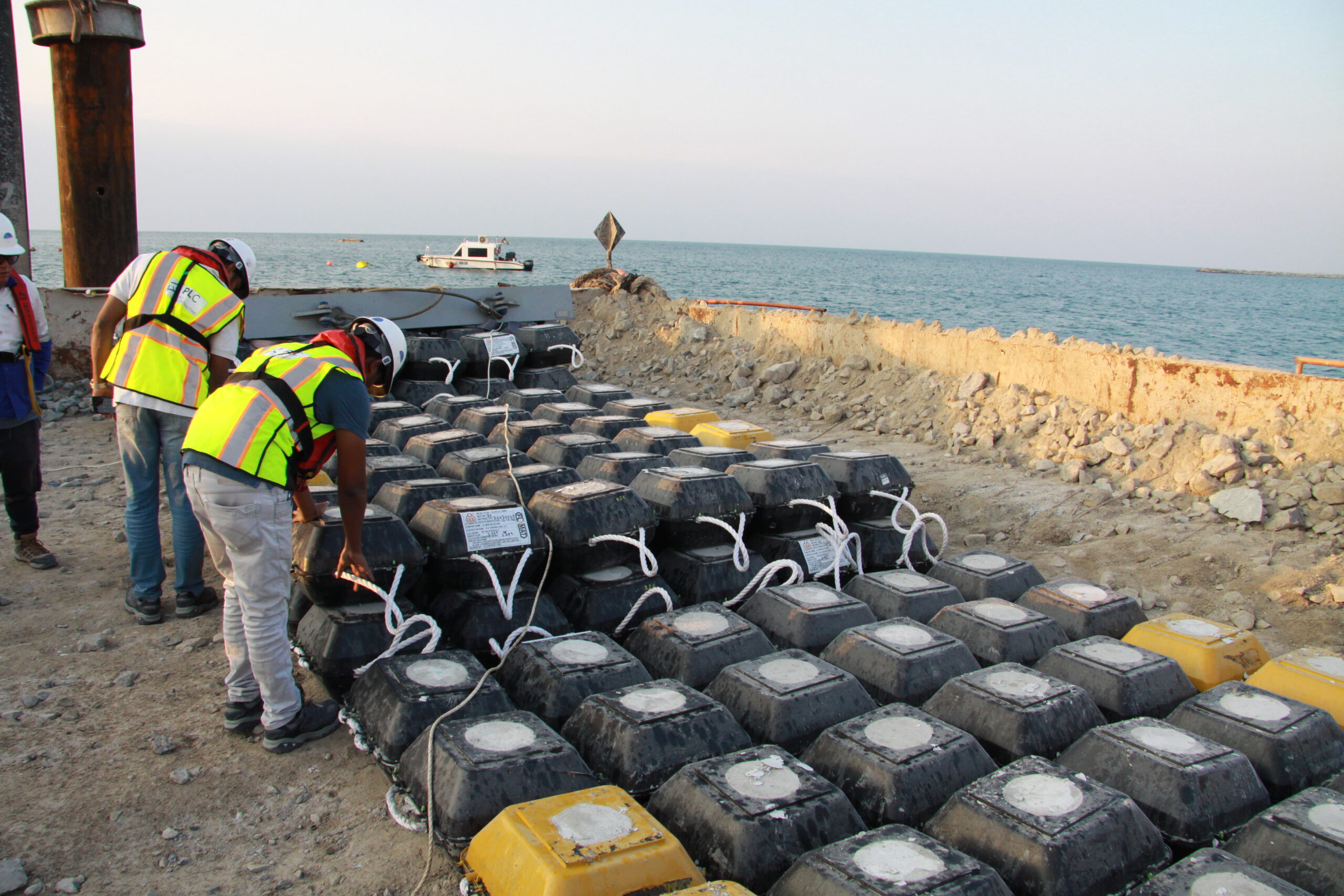 Material & Design Innovation