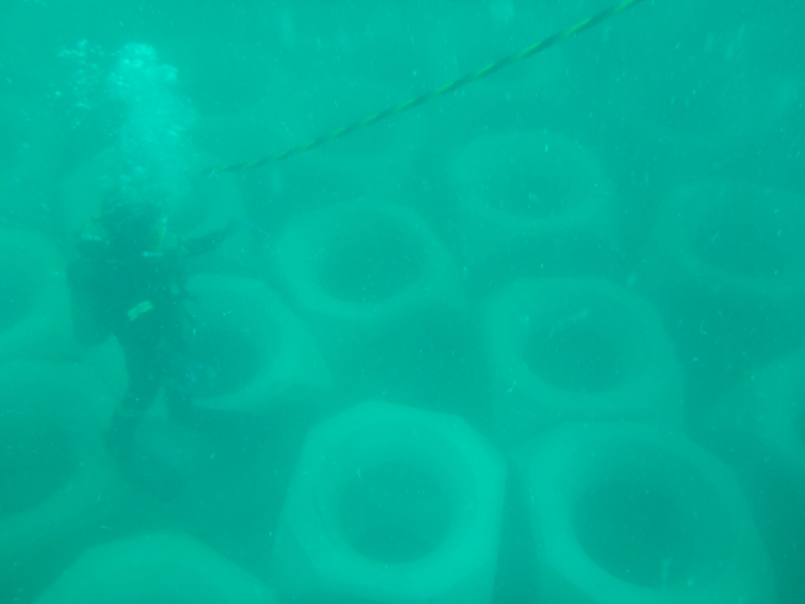 Monitoring & Maintenance